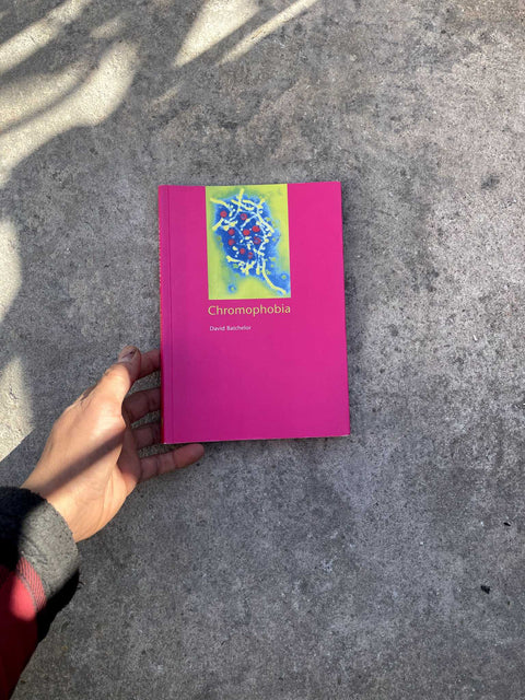 Chromophobia by David Batchelor