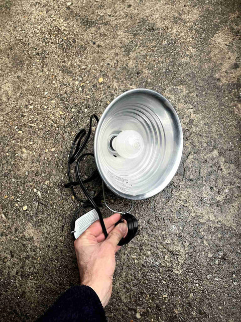 Clamp Lamp! And Light Bulb!