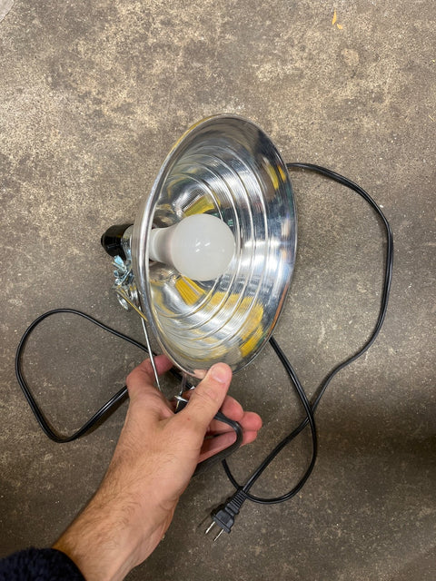 Clamp Light!