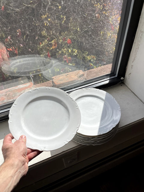 Classic White Dinner Plates Set, 8