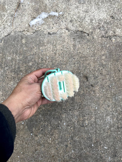 Cleaning Brush