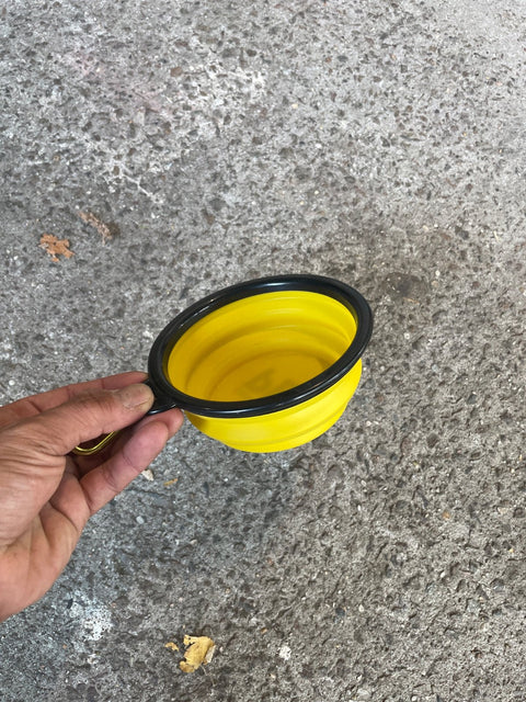 Collapsible Dog Bowl