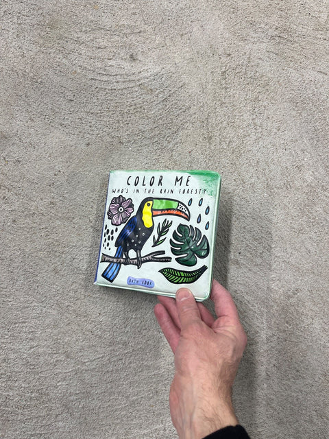 Color Me Rain Forest Book