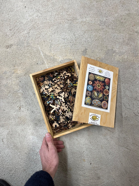 Cool Wooden Sea Squirts Puzzle, 301 Pieces
