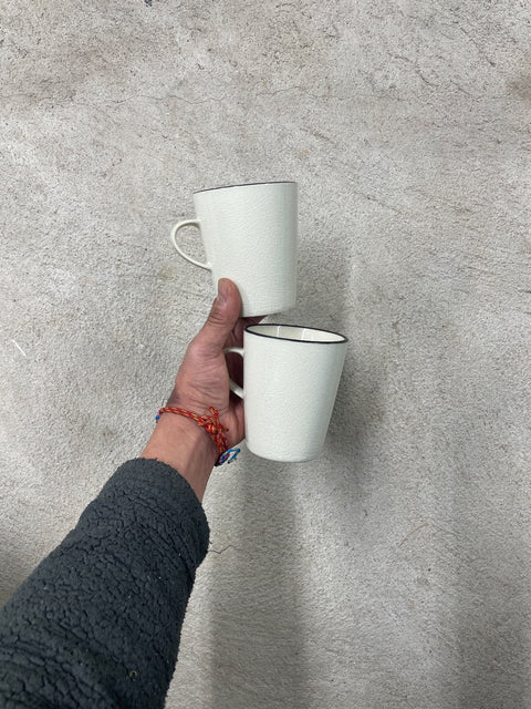 Crate & Barrel Japanese Minimalist Crackle Glaze Mug