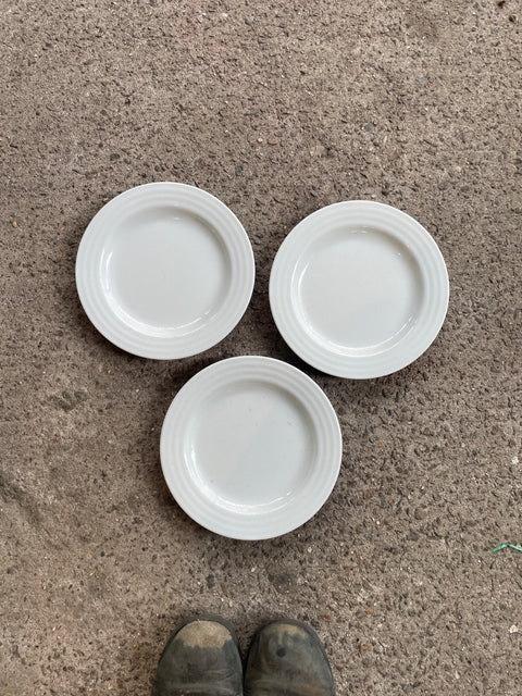 Crate & Barrell Small Plates
