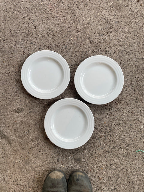 Crate & Barrell Small Plates
