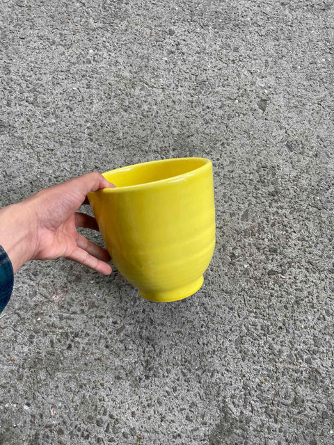 Crate & Barrell Yellow Pot