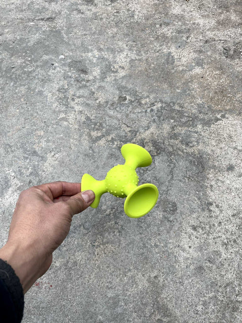 Crawl Down Surfaces Toy