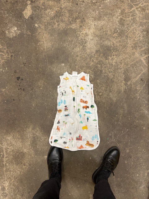 Cute Aden+Anais Sleep Sack, 0-6 Months