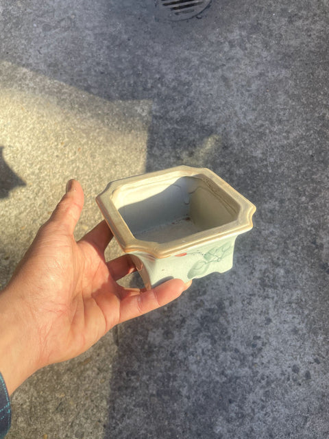 Cute Bonsai Plant Pot
