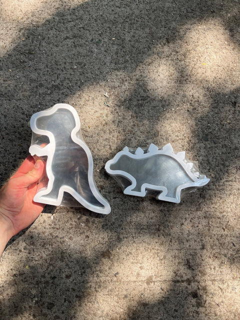 Cute Dino Mirrors Duo