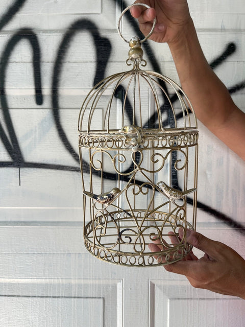 Cute Lil' Gold Birdcage