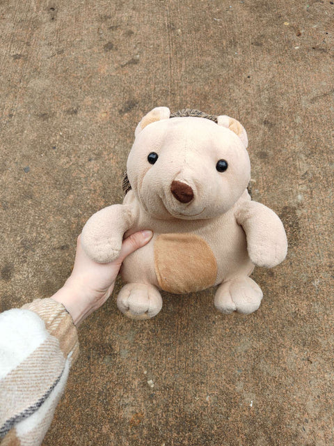 Cute Plush Hedgehog Toy