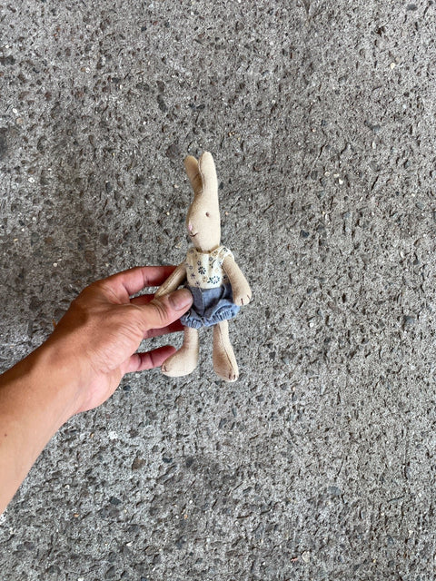 Cutest Little Bunny Doll