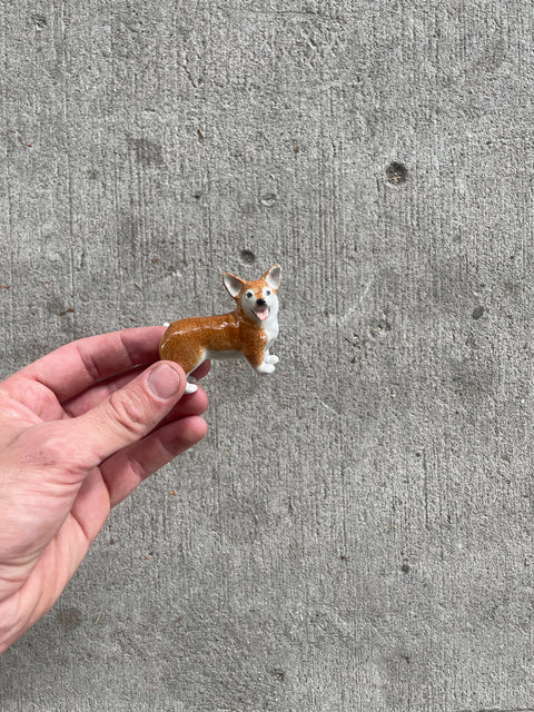 Mini Corgi