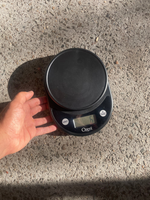Digital Food Scale