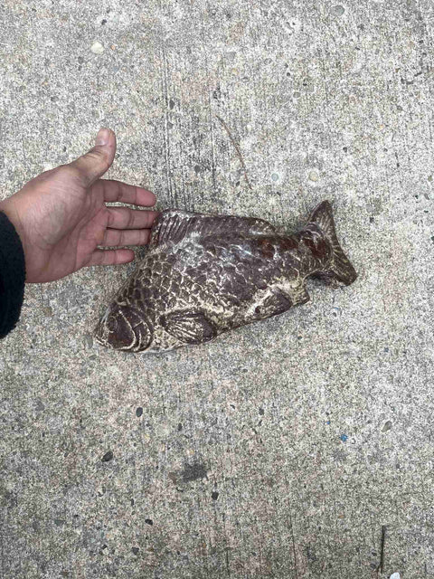 Decorative Fish Sculpture