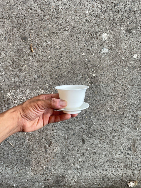 Delicate White Teacup And Saucer