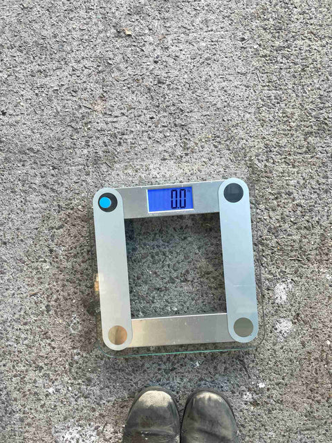 Digital Human Scale