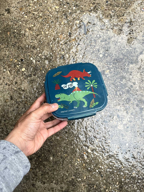 Dinosaur Snack Container