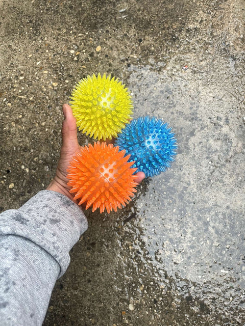 Dog Chew Toys