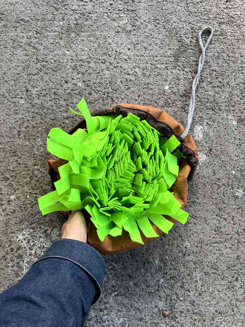 Dog Snuffle Mat