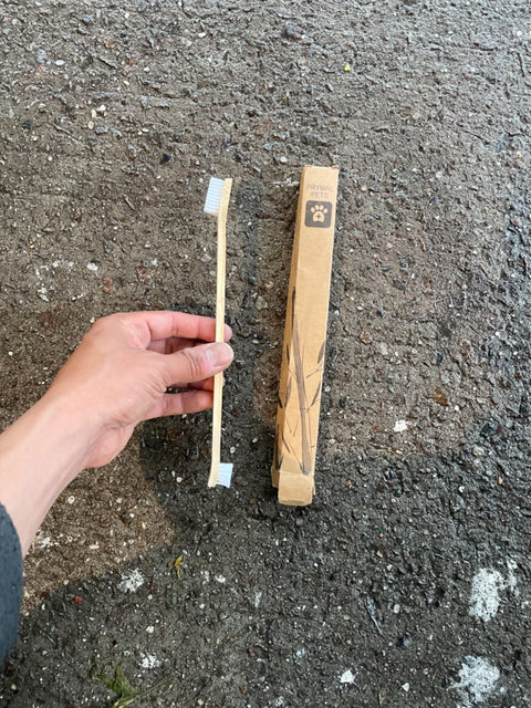 Dog Toothbrusb