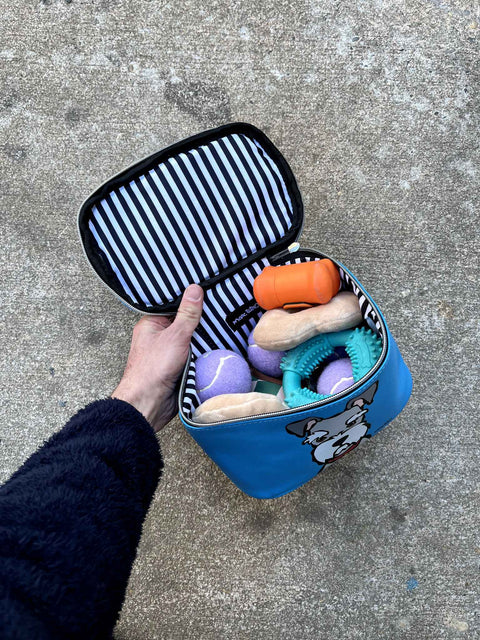Dog Toys Starter Kit