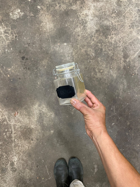 Dog Treat Jar
