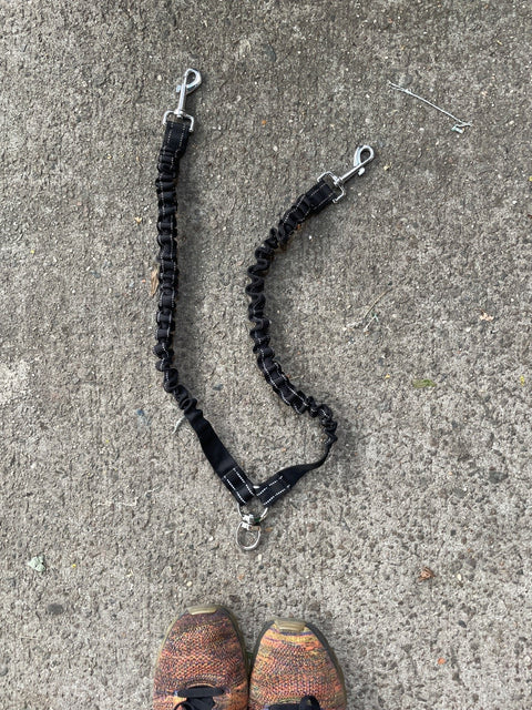 Dog Walking Dual Leash