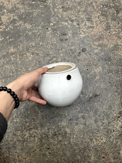 Double Pot Planter