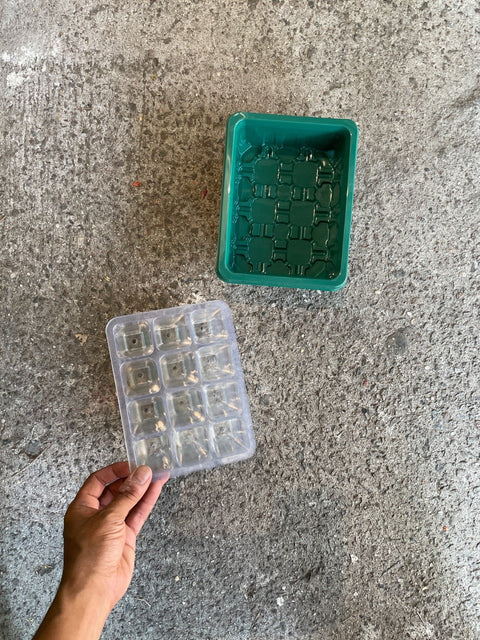 Lil' Plant Seedlings Trays