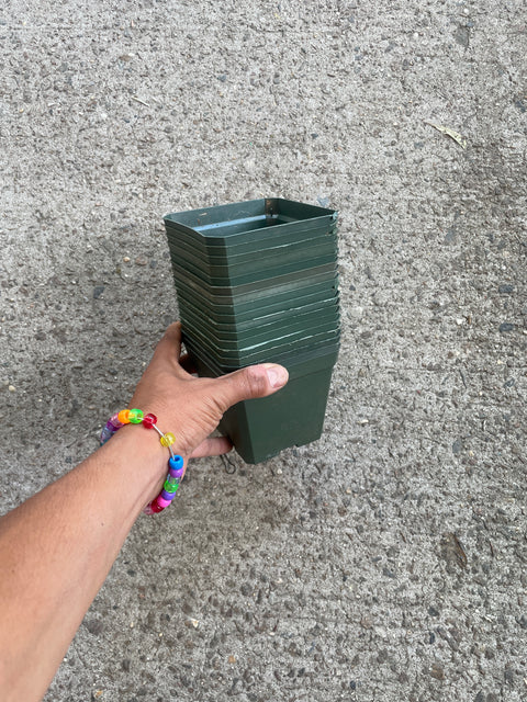 Sleeve of Square Pots