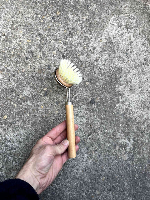 Eco-Friendly Dish Brush
