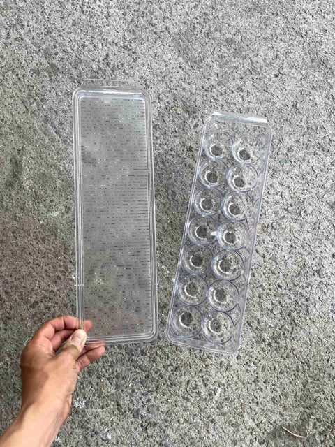 Egg Storage Container