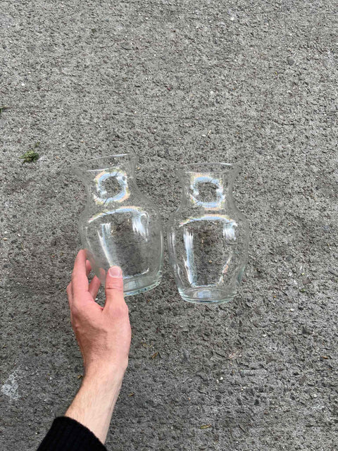 Elegant Glass Vases Set