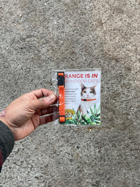 Elsey's Orange Cat Collar