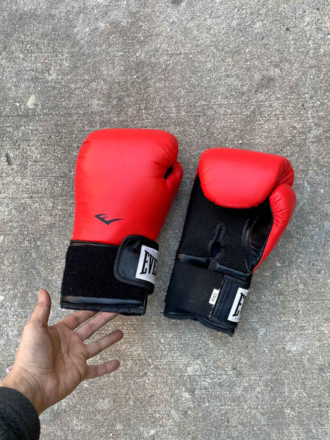 Everlast Boxing Gloves, 14oz