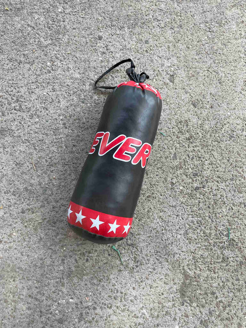 Everwin Small Punching Bag