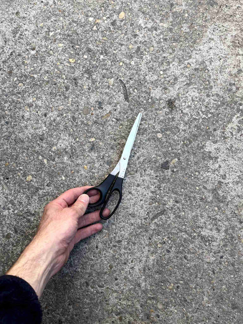 Everyday Scissors