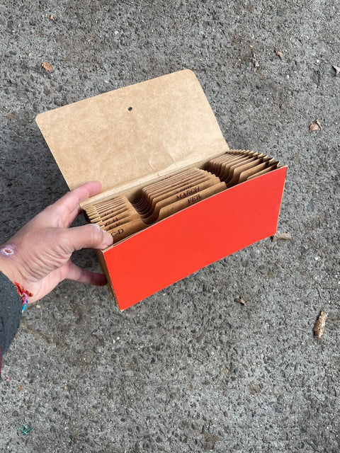 Expanding Accordion File Folder