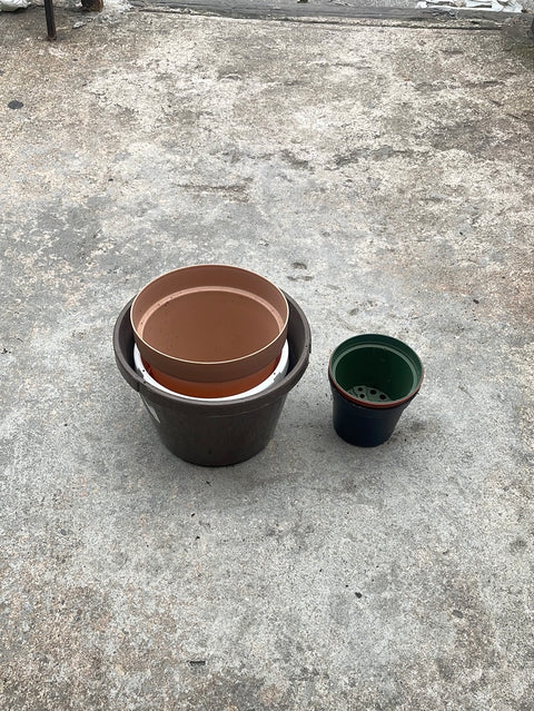 So Many Pots