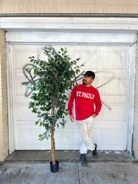 Fake Ficus Tree In Pot