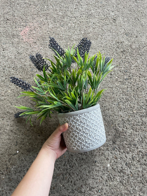 Fake Lavender Plant