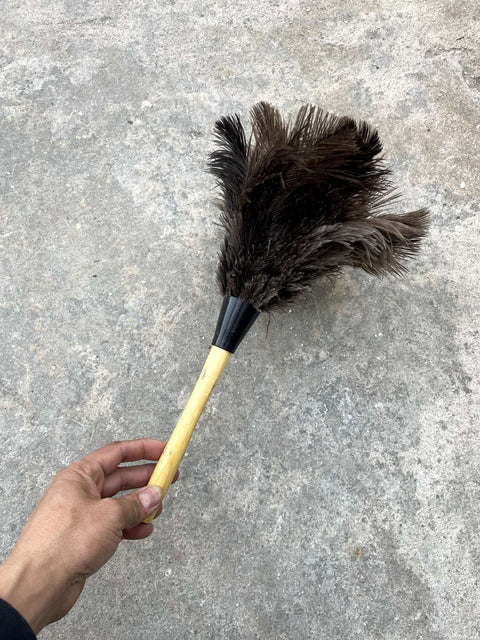 Feather Duster