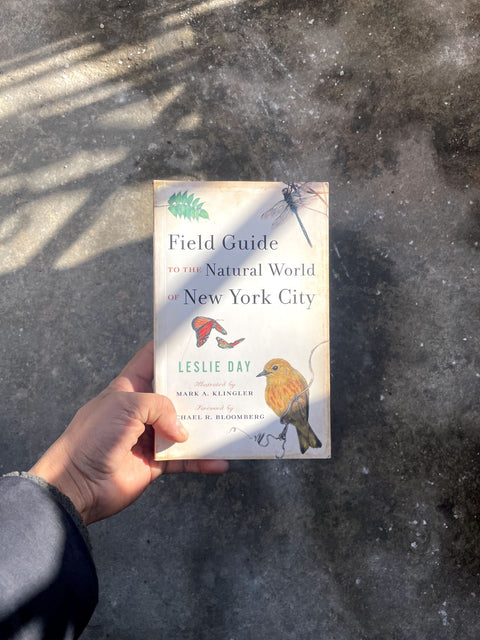 Field Guide to Nature