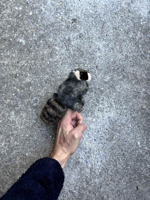Finger Puppet Raccoon Toy