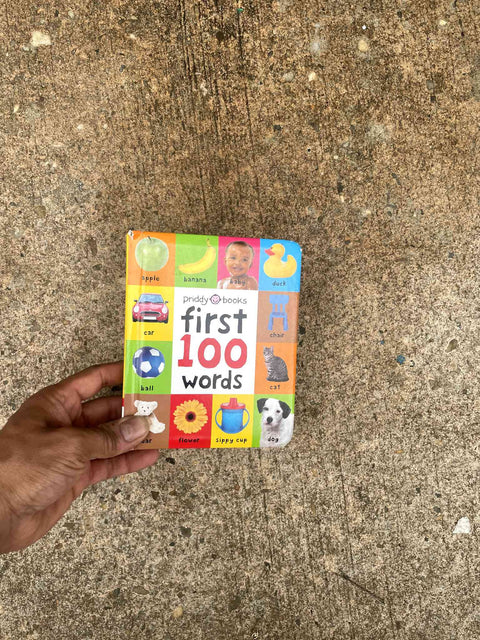 First 100 Words by Priddy Books