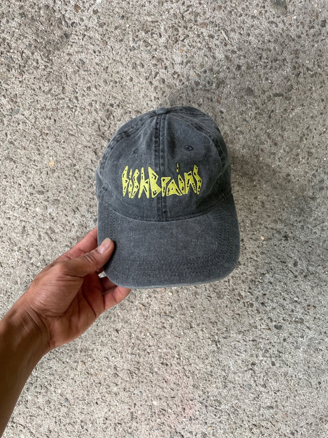 Fish Brains Dad Hat